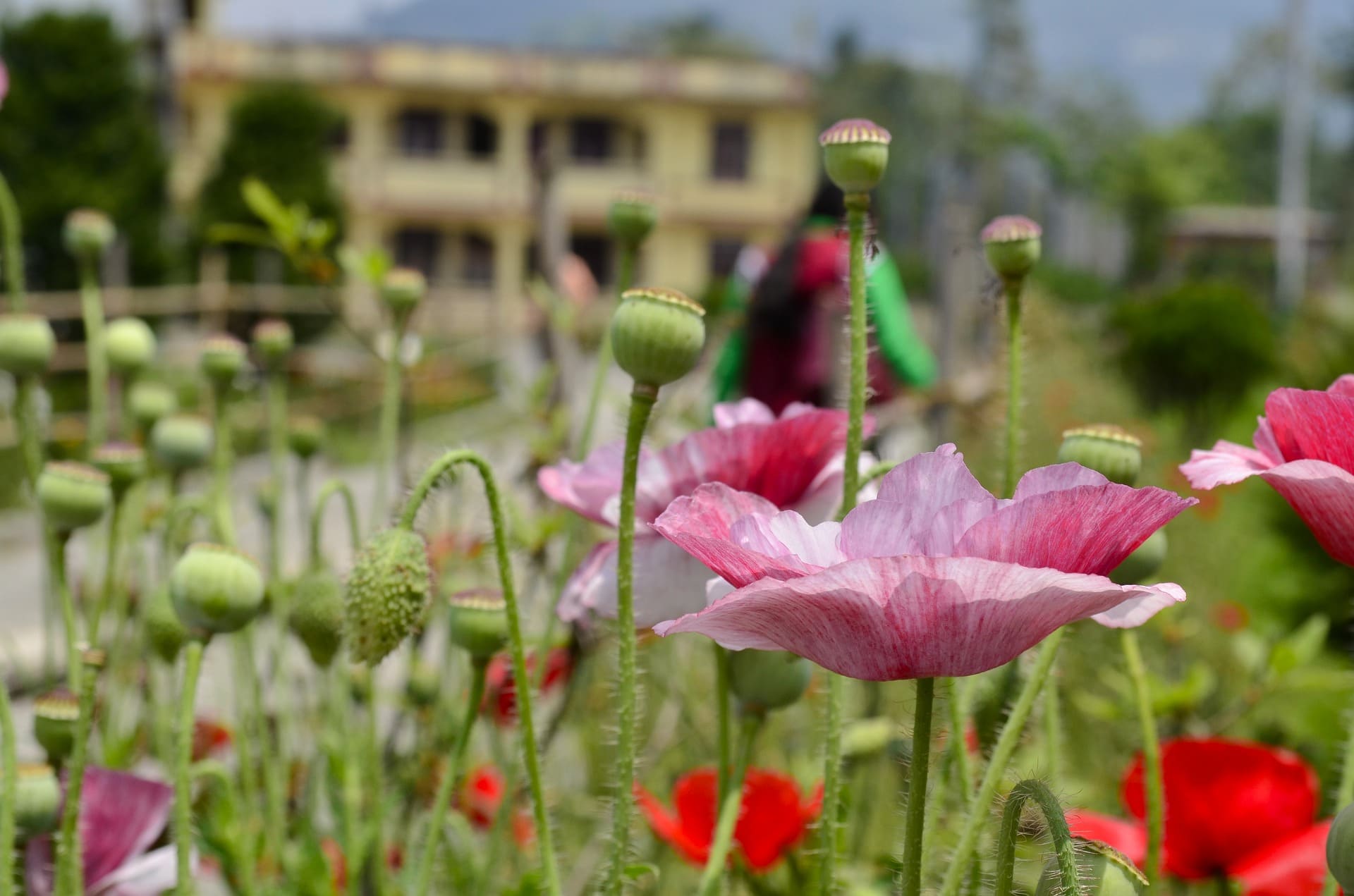 bimtech