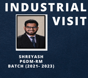 bimtech